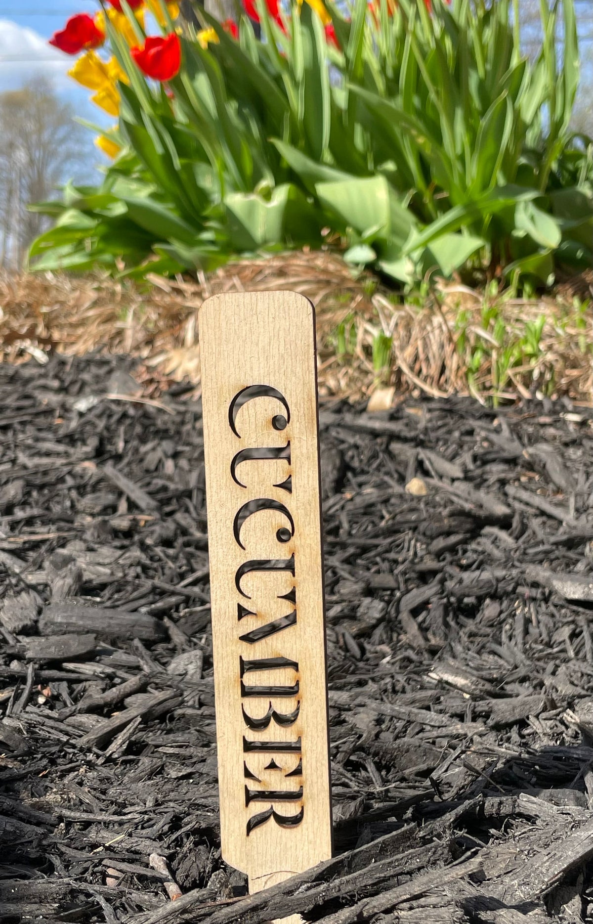 Custom Garden Markers for Herb, Fruit, and Veggie Garden. Made of Wood or Acrylic Veggie Plant Stakes and Herb Markers by designLEE Studio