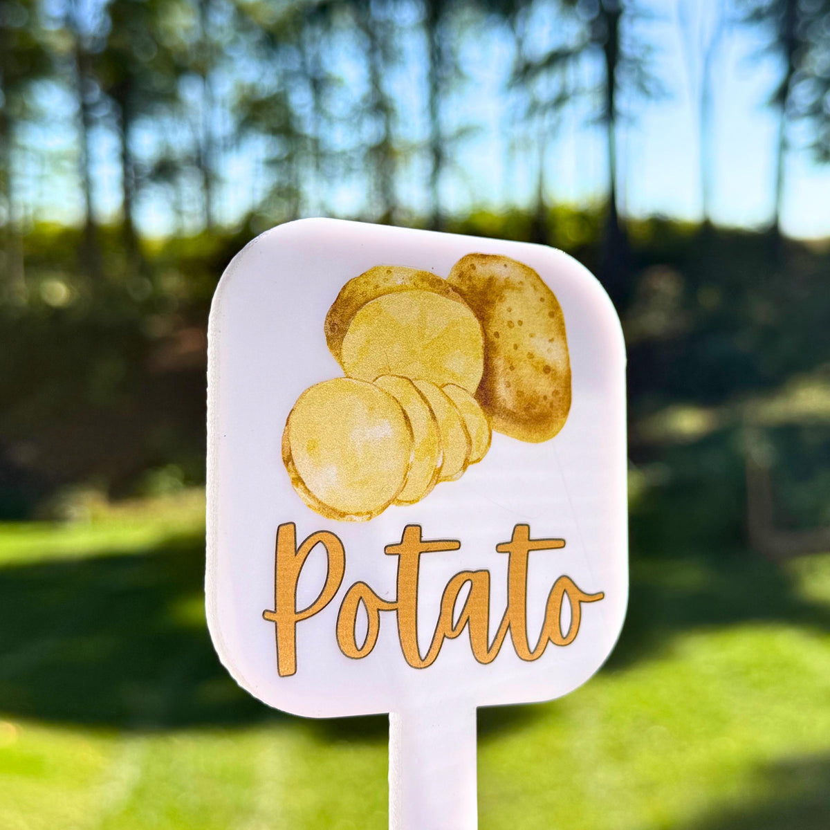 Personalized Acrylic Garden Markers – UV Watercolor Plant Labels for Herbs, Veggies &amp; Fruits – Unique Gift for Mom Grandma Home Gardening