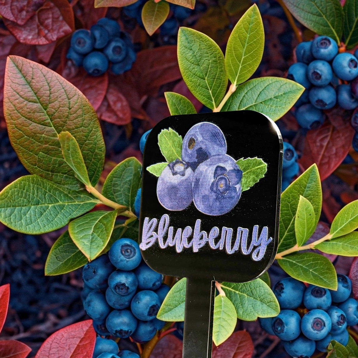 Personalized Acrylic Garden Markers – UV Watercolor Plant Labels for Herbs, Veggies &amp; Fruits – Unique Gift for Mom Grandma Home Gardening