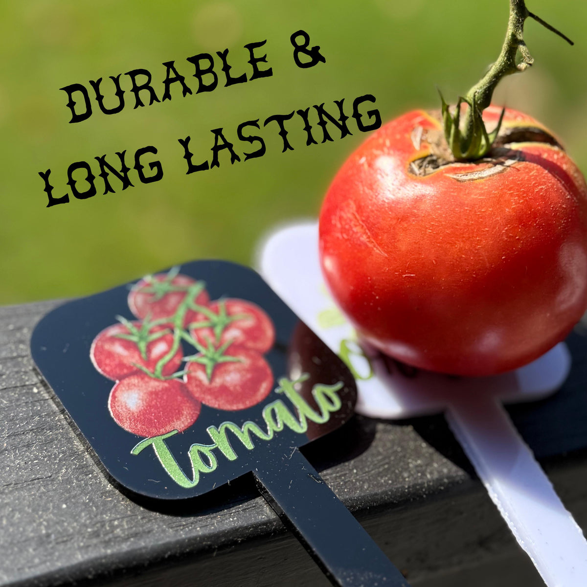 Personalized Acrylic Garden Markers – UV Watercolor Plant Labels for Herbs, Veggies &amp; Fruits – Unique Gift for Mom Grandma Home Gardening