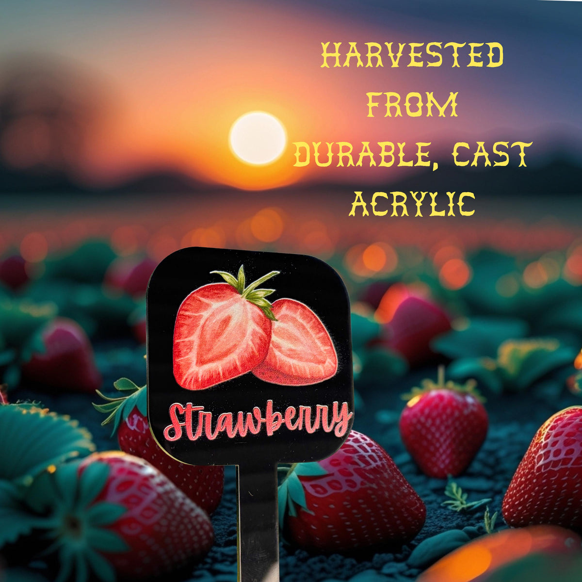 Personalized Acrylic Garden Markers – UV Watercolor Plant Labels for Herbs, Veggies &amp; Fruits – Unique Gift for Mom Grandma Home Gardening