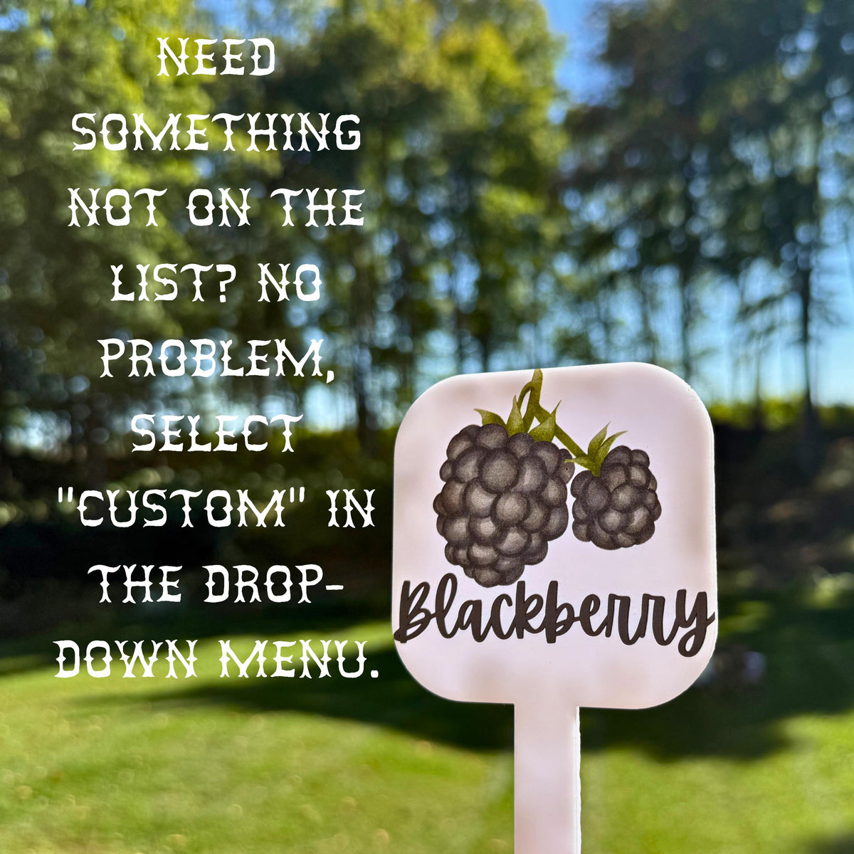 Personalized Acrylic Garden Markers – UV Watercolor Plant Labels for Herbs, Veggies &amp; Fruits – Unique Gift for Mom Grandma Home Gardening